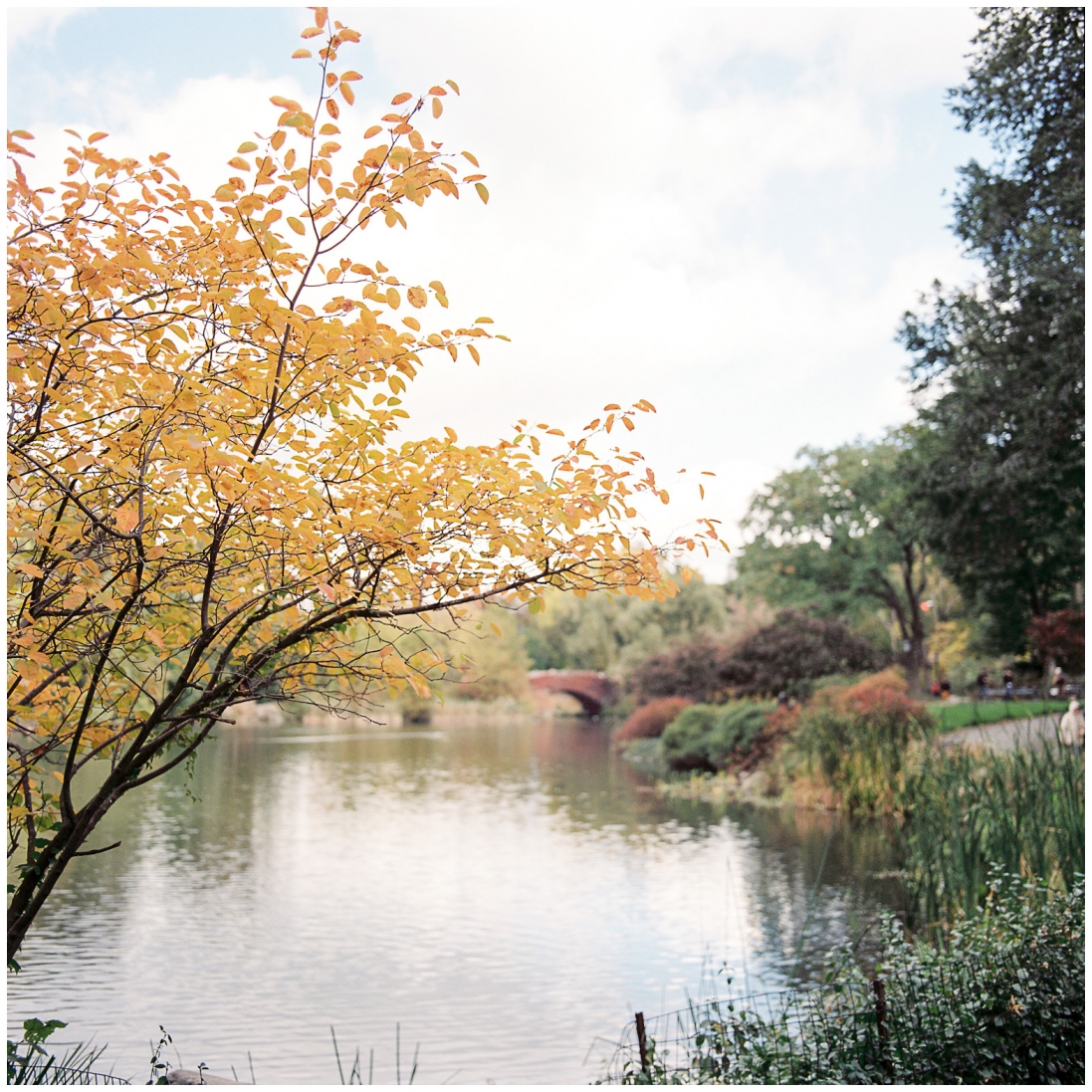 sdboodhoo.nycfamilyphotographer.25