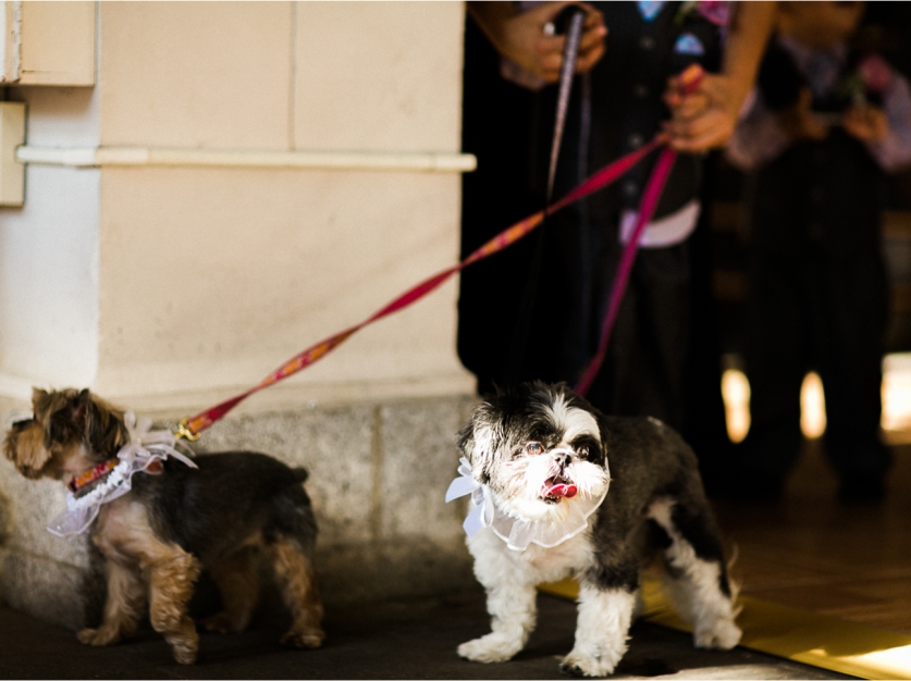 sarahdayboodhoo.prospectparkboathousewedding.12