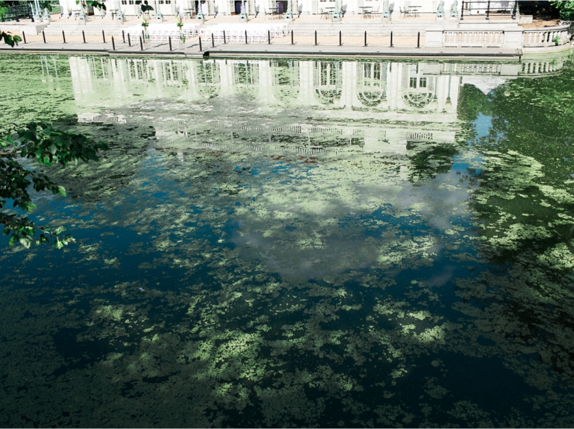 sarahdayboodhoo.prospectparkboathousewedding.17