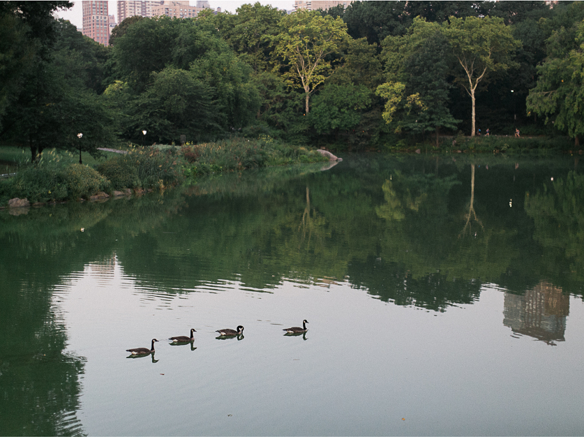 15.elopement-wedding-photographer-nyc.sarah-day-boodhoo