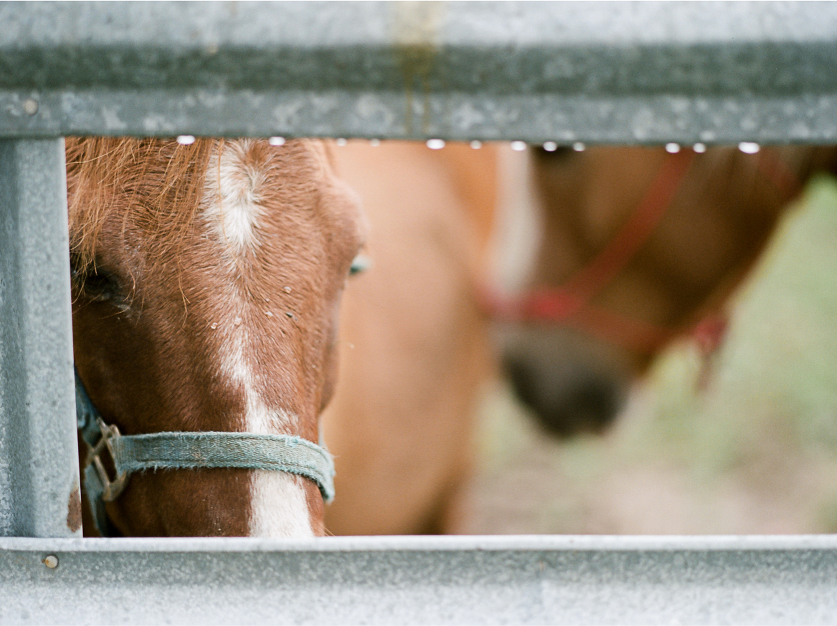 52.elopement-wedding-photographer-nyc.sarah-day-boodhoo