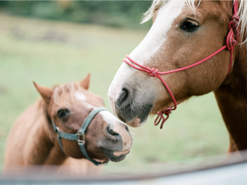 53.elopement-wedding-photographer-nyc.sarah-day-boodhoo