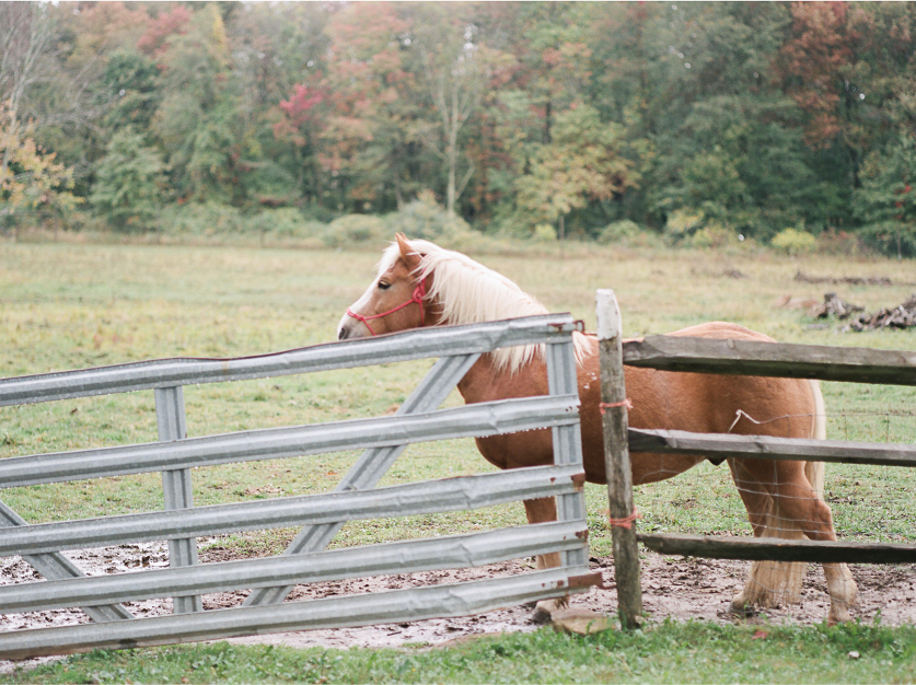 54.elopement-wedding-photographer-nyc.sarah-day-boodhoo