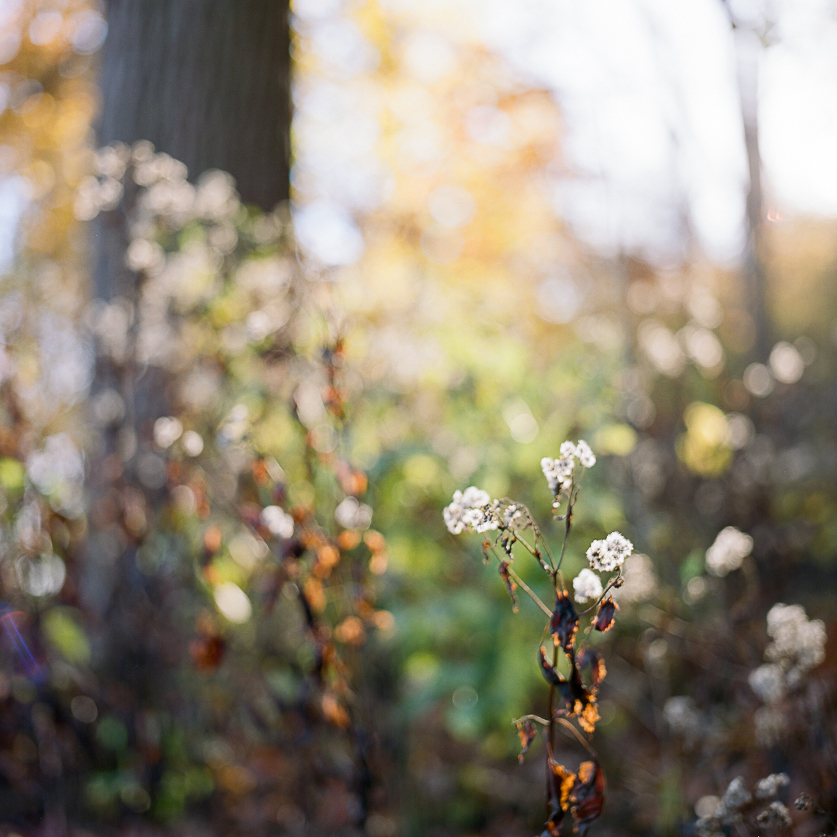 01.elopement-wedding-photographer-nyc.sarah-day-boodhoo