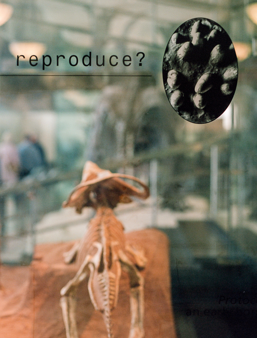 elope.nyc.sarah.day-boodhoo.12