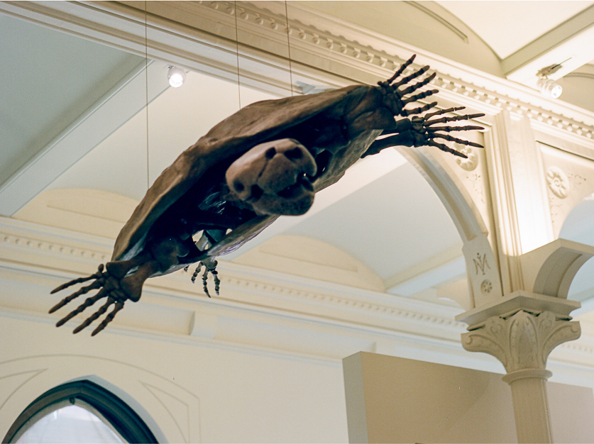 elope.nyc.sarah.day-boodhoo.16