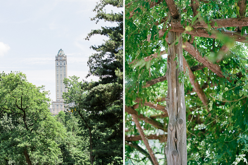 cop-cot-central-park-elope-nyc.sarah-day-boodhoo.01